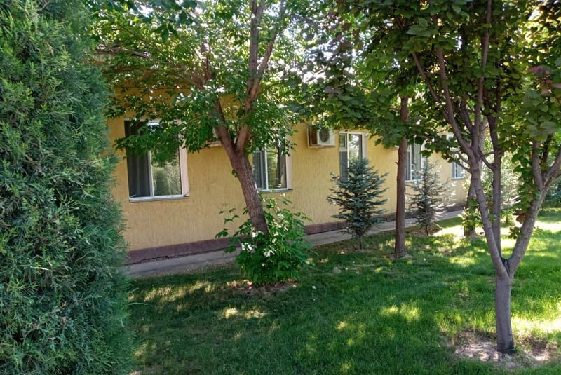 Aray Deluxe суреттері